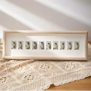 성장기록액자 초등학생부터 고등학생까지 학년기록 증명사진 추억사진 전시 10칸