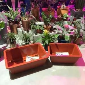 플라스틱 화분 3호 야외 텃밭상자 가로긴베란다화분 세트 테라스 가로긴 사각 바퀴받침대 옥상 낮은 아파트