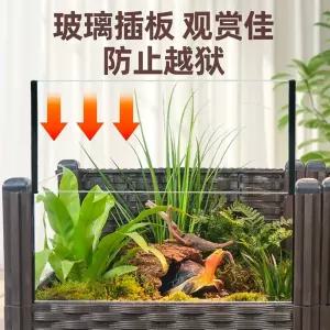 거북이 어항 반수생 열대어 오픈형 아크릴 키우기 가정용