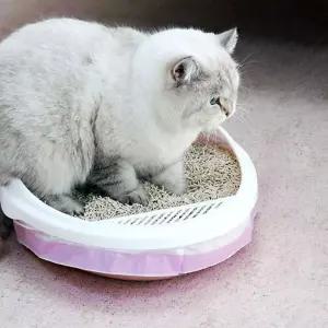 고양이 화장실 봉투 3롤 세트 배변 용품통봉지 변통 리필 모래 위생 똥봉투