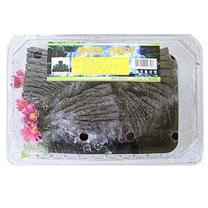 화분 정화 부작 다용도 요리 참 학교 가습기 자연 공기 숯 편백 탈취 인테리어 미니 관공서