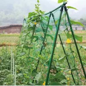 식물넝쿨 비닐하우스 가든네트 오이 호박 덩굴 지지대