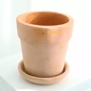 토분 16x17cm 예쁜 선인장화분작은꽃 소형 미니 인테리어 이쁜 빈화분 빈티지 토기 다육 다육이 엔틱 감성