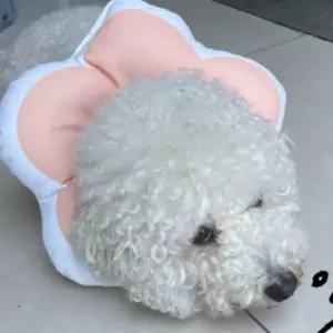 강아지 고양이 쿠션 넥카라 핑크 L 애견 중성화 개반려넥카라 강아지캡 꼬깔 카라 천카라 고깔 목카라 칼라