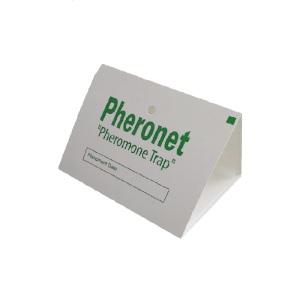 보키니 영국산 화랑곡나방 권연벌레 쌀벌레 페로몬 끈끈이 트랩(중)