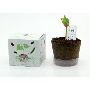 [오피스넥스]팜팜농장 강낭콩