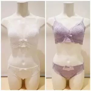 [롯데백화점]BARBARA 퍼플 삼각몰드 브라렛 팬티세트 ABR4418ABP4418