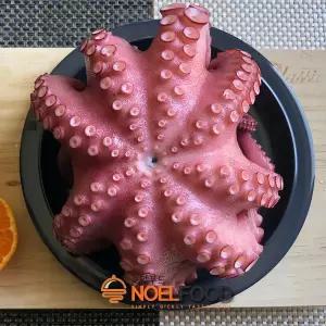 모리타니아 자숙문어 한마리 900g~1kg 내외 수입 냉동문어  