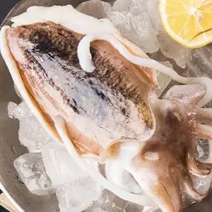 국산 손질 갑오징어 250g 냉동