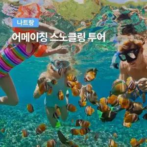 [나트랑] 베나자 어메이징 스노쿨링 호핑투어