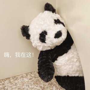 팬더인형 판다인형 아기판다 곰돌이 쌍둥바오 굿즈 출산 선물