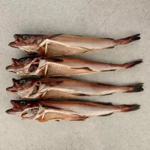 오초록 속초 반건조 코다리 특) 6미 - 미당 50cm 내외  320g내외