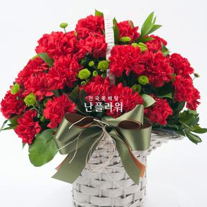 어버이날 꽃바구니/ 카네이션꽃 카네이션꽃바구니 어버이날, 스승의날 선물 /전국 당일 무료꽃배달/천사난플라워