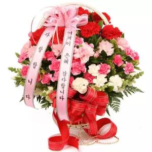 카네이션 꽃바구니 / 카네이션꽃 어버이날 선물/ 스승의날 꽃배달 천사난플라워 / 전국당일 무료배달