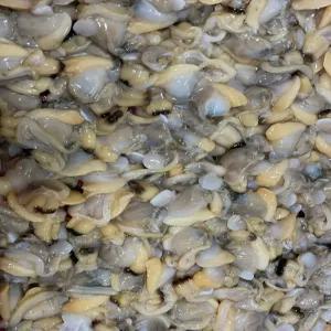 국내산 깐 바지락살 200g 내외 손질 칼국수 미역국 수제비 요리 당일조업 활바지락 조갯살 반찬 재료