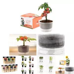 자동물공급 삼투압 화분 방울토마토 씨앗 세트/키우기/식물/키트/미니/기르기/채소/홈가드닝/재배기/반려