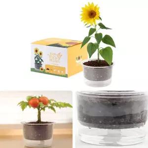 자동물공급 삼투압 화분 해바라기 씨앗 세트/새싹/키우기/식물/키트/원예/미니/기르기/홈가드닝/재배기