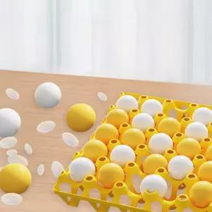 계란판놀이 유아 학생 가족 보드게임 실버 단체 야유회 레크레이션 탁구공 빙고 게임 세트