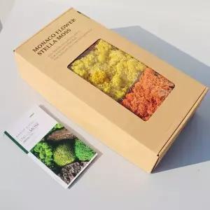 모나코플라워 스텔라 모스이끼 3색 세트 500g (붉은빛 가을)