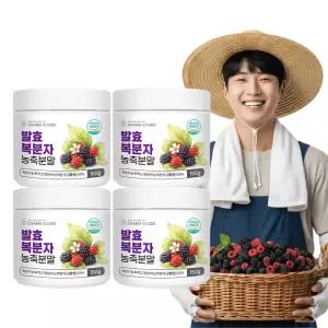 고창 복분자 발효 농축 분말 150g 4개