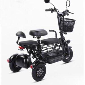 삼륜 전기자전거 등하원 여성 세발 2인승 접이식 자전거 15KM 8A DS 82