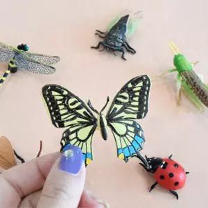 유초등 생물관찰 곤충피규어 6종세트 과학반 표본 학교 어린이집 모형