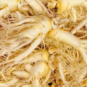 국산 가정용 싱싱한 인삼 6년근 난발특대 8-12편 1kg 1개