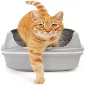 그래서 프레시 그레이 화이트 트 투 시프트 고양이 깔때기 팬 대형 19.7 L