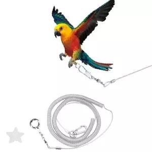 조류 애완동물 실내외 안전 산책 훈련 보조 도구 투명 튜브형 가슴 착용 이동