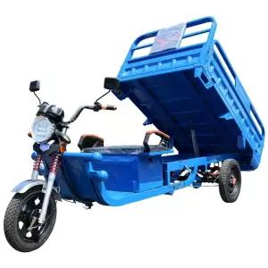삼토바이 초소형 농사용 제품 화물 삼발이 전기트럭 전기차