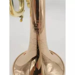 클라리넷 스트라디바리우스 트럼펫 파이프 플랫 악기 황동 스트럿 37 주년