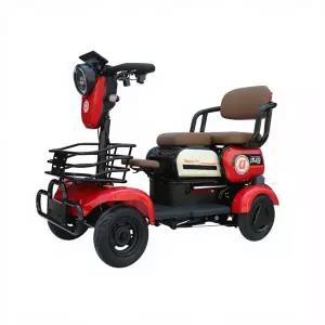 500W 2인승 성인 노인용 전동 스쿠터 전동카 동네 나드리 여행 바이크