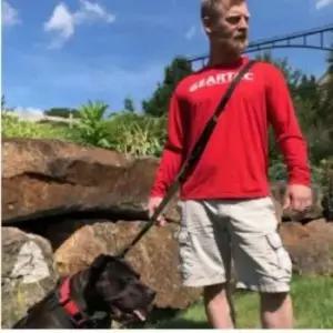 [반려] 애견 리드줄 옐로우 5m 강아지산책리드줄 강아지목줄리드줄 강아지자동리드줄