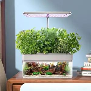 애둘아빠네 가정용스마트팜 수경재배 콩나물키우기