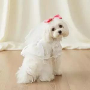 [JED] 레이스 베일 꽃무늬 S 촬영 원피스 강아지 세트 화동 의상 웨딩드레스 M L