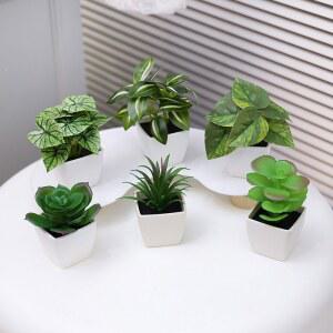 인조이끼 6PCS 인공 상록 식물 창턱 분재 가정 장식에 사무실 데스크탑