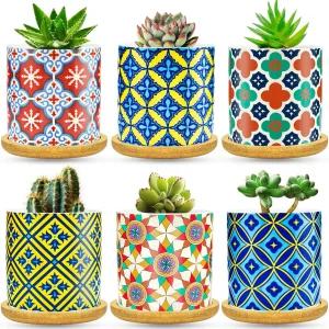 배수구가 있는 다육식물 화분 6팩 대나무 트레이가 3인치 세라믹 선인장 밝은 색상 실내/외 혼합