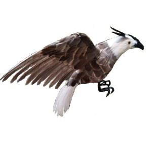 60CM 대형맹금류 모형독수리인형 밝은 흰머리 고퀄리티 까치퇴치가짜새 문의 50CM 충돌