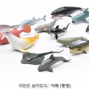 물놀이 수영장 장난감 바다동물 피규어 5살 토이 상상력 키즈 유아 인지발달 4세 5세