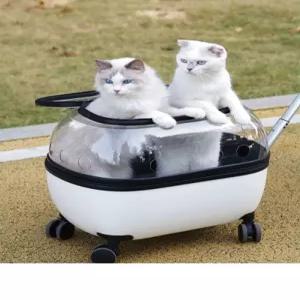 투명 캐리어 고양이 바퀴달린 이동장 강아지 애완동물 케이지 롤링 백팩 펫가방