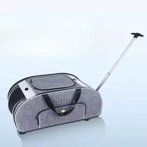 이동장 반려묘 백팩 투명 메쉬 캐리어 강아지 펫 이동가방 외출용 휴대