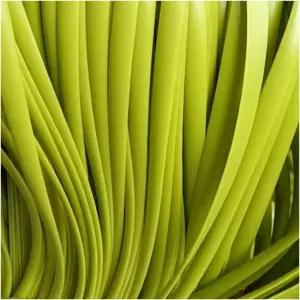 의자 소파 바구니 정원 파티오 가구 교체 DIY 직조 뜨개질 아보카도 그린을 위한 500g 라탄 수리 재료 5mm