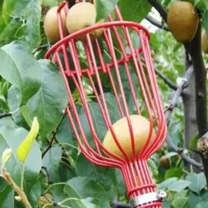 과일피커 정원 바구니 캐처 사과 복숭아 따기 농장