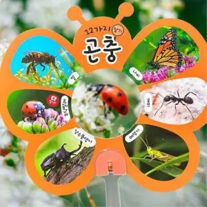 5인세트 자연관찰 곤충부채만들기 봄수업 활동지 설명카드 유치원 초등 돌봄 DIY
