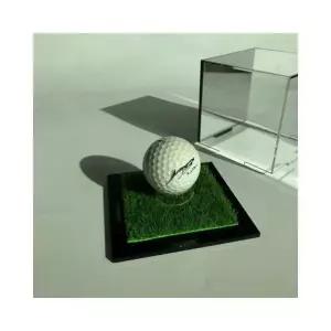 루미나D 케이스 아크릴 골프공 싸인볼 홀인원 기념볼 야구공