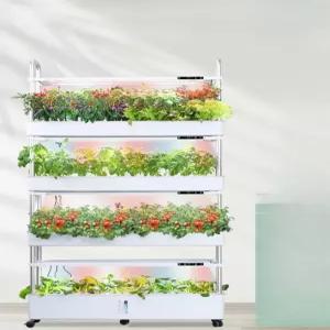 호오마켓 상추수경재배기 실내 재배기 식물 발코니