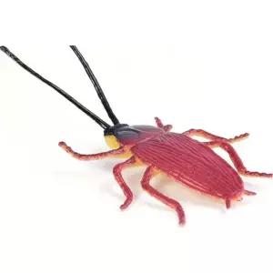 꾹상점1  피규어 세트 모형 미니어처 어린이 장난감 곤충 키즈