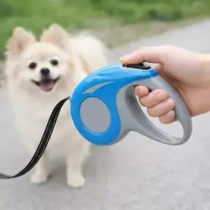 [반려] 블루 리드줄 반려견 댕댕워크 자동 강아지산책 5m 중소형