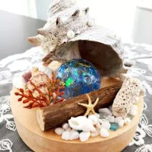 [데코] 제주 천연 뿔소라 무드등 취침등 수면등 수유등 신혼부부 집들이 선물 힐링쉘