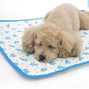 [반려] 쿨 낮잠 방석 베드 반려견 실내휴식 쿠션 애견 매트방석EA에어매쉬